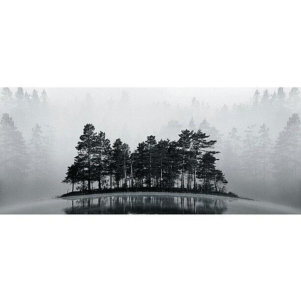 Nature Photograph - Misty Lake Bw #iphonesia #instagood by Robin Hedberg