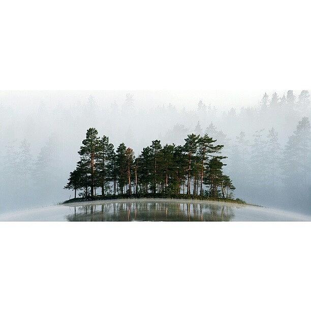 Nature Photograph - Misty Lake II #iphonesia #instagood by Robin Hedberg