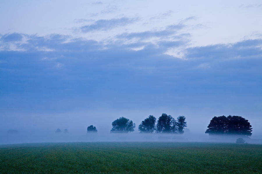 Misty marsh Photograph by Ian Middleton