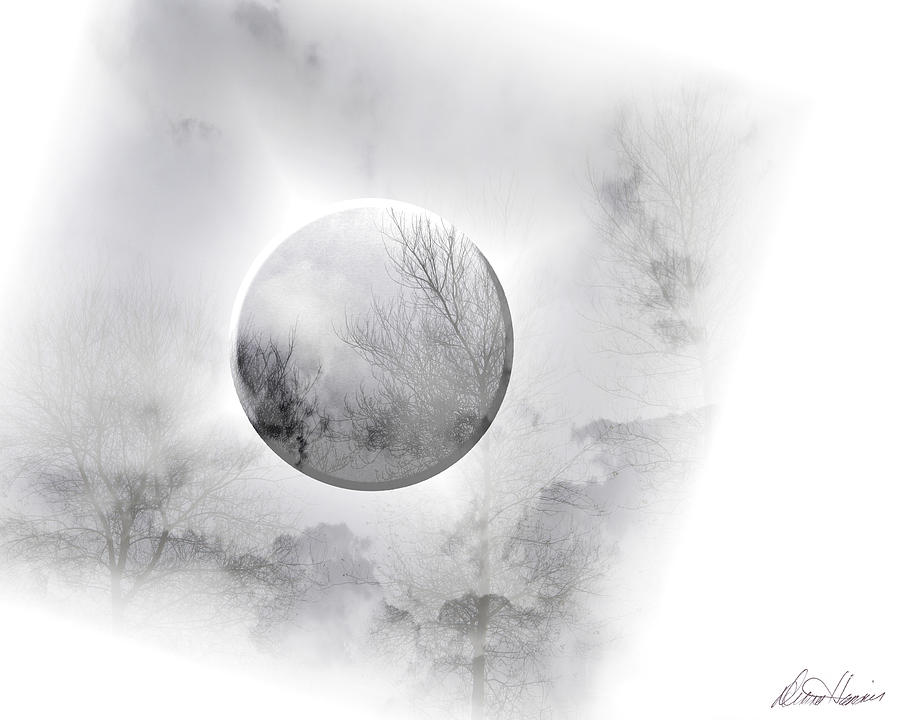 Misty Moon Photograph by Diana Haronis