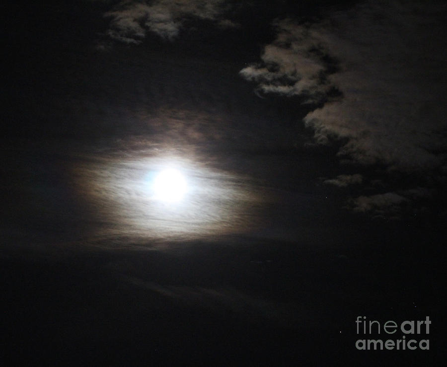 Misty Moon Photograph by Donna L Munro