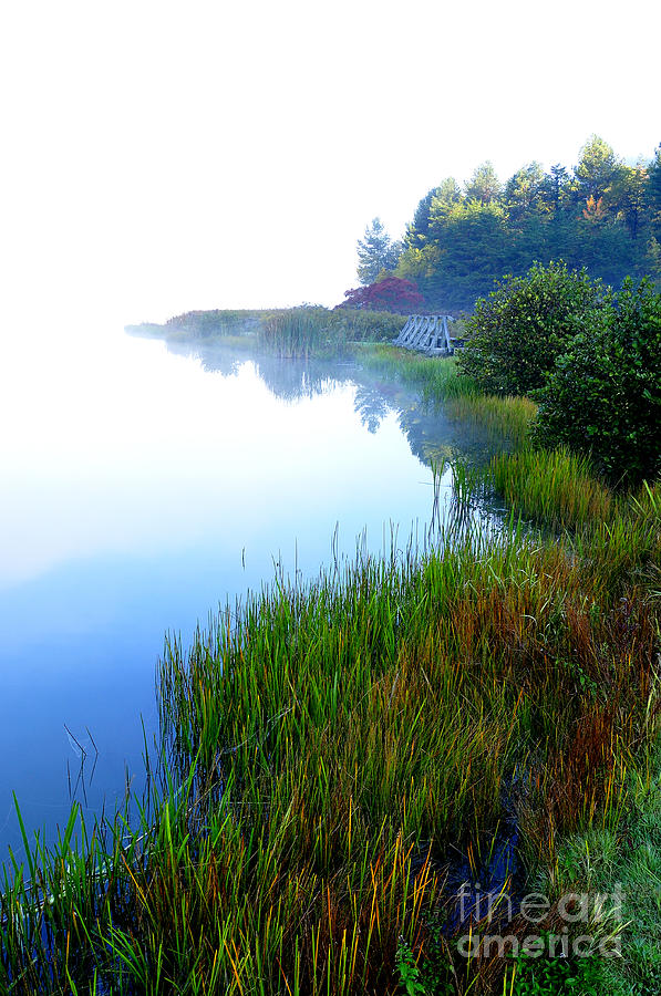 Fall Photograph - Misty Morning Big Ditch Lake by Thomas R Fletcher