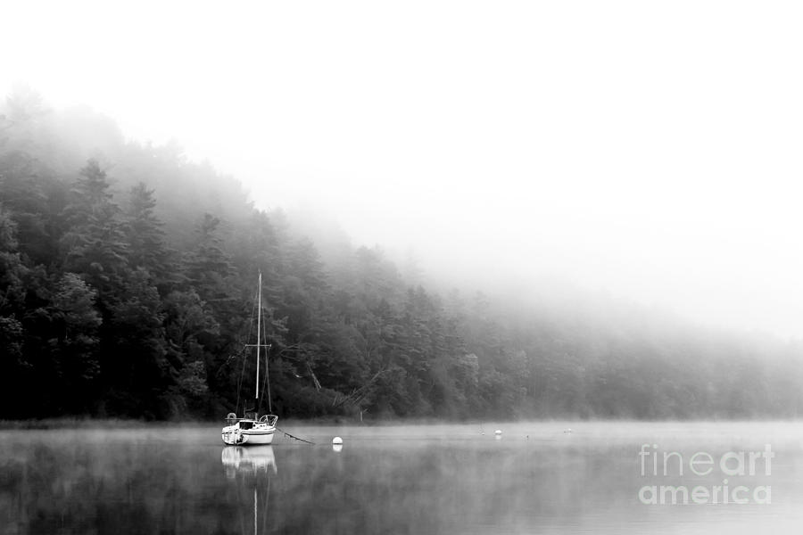 Misty Morning Photograph by Brenda Giasson