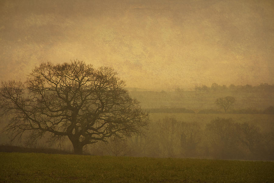 Misty Morning Photograph by Clare Bambers