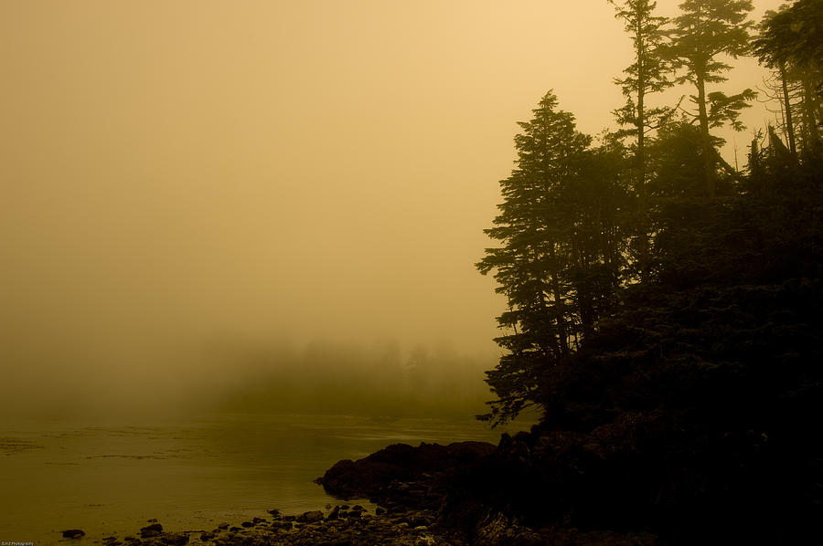 Misty Morning Photograph by Edward Kovalsky