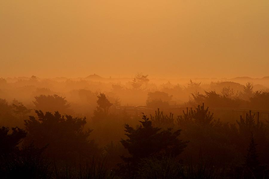 Misty Morning Fire Island Photograph by Christopher J Kirby