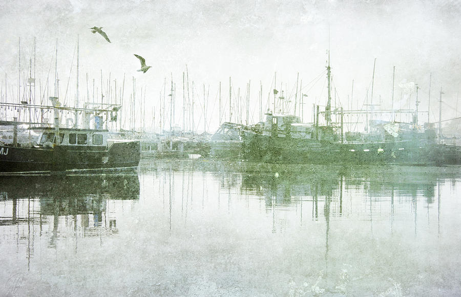 Misty Morning on the Boat Harbour Digital Art by Margaret Hormann Bfa