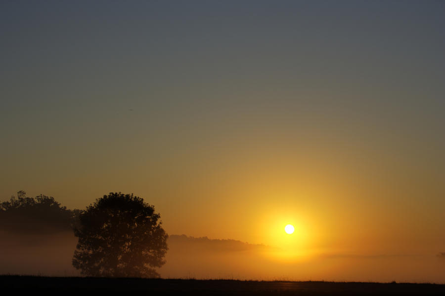 Misty Morning Sunrise Photograph by Barry Jones