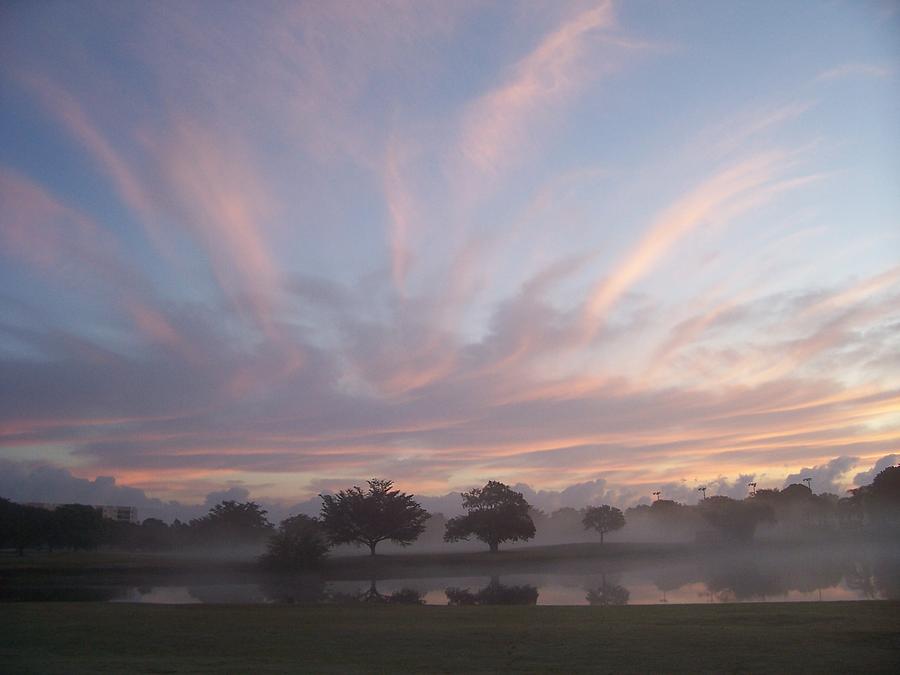 Misty Morning Sunrise Photograph by Sheila Silverstein