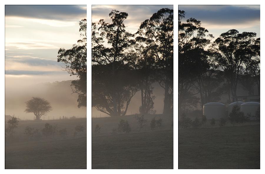 Misty morning triptych Photograph by Fran Woods