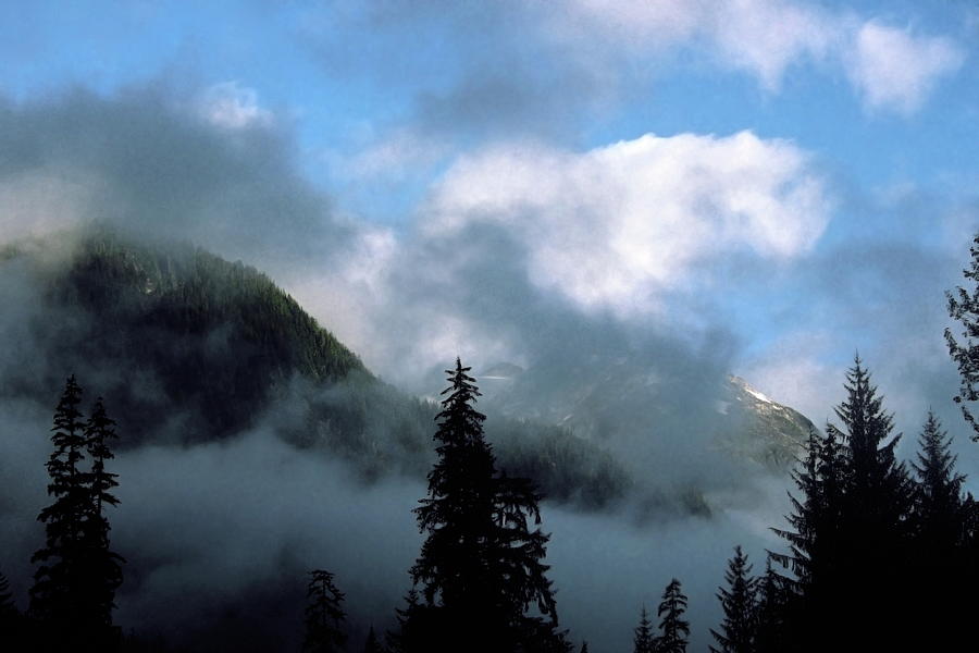Misty Mountain Peaks Photograph by Sally Weigand