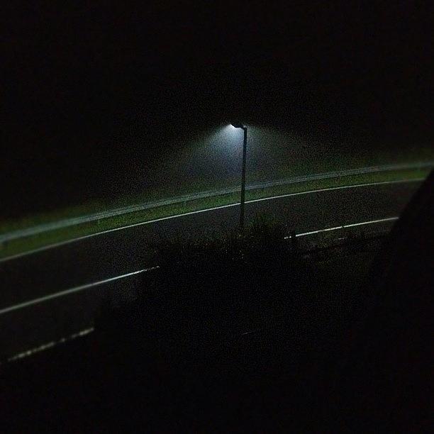 Misty Night Photograph by Tony Keim