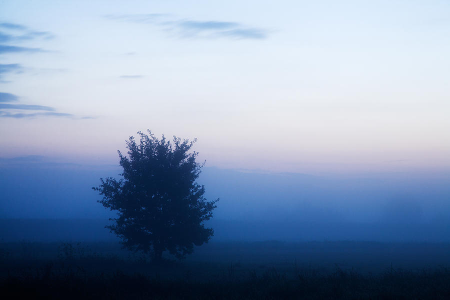 Misty sunrise Photograph by Ian Middleton
