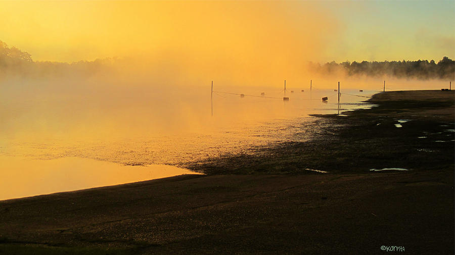 Misty Sunrise Photograph by Rebecca Korpita