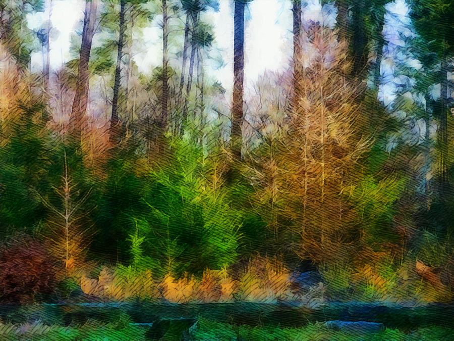Impressionism Painting - Mixed forest by Jolande Gerritsen