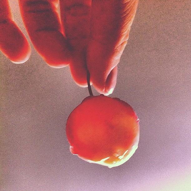 Mmm Cherries Photograph by Shawn M