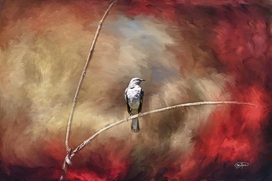 Mocking Bird In Oil  - Artist Cris Hayes Photograph