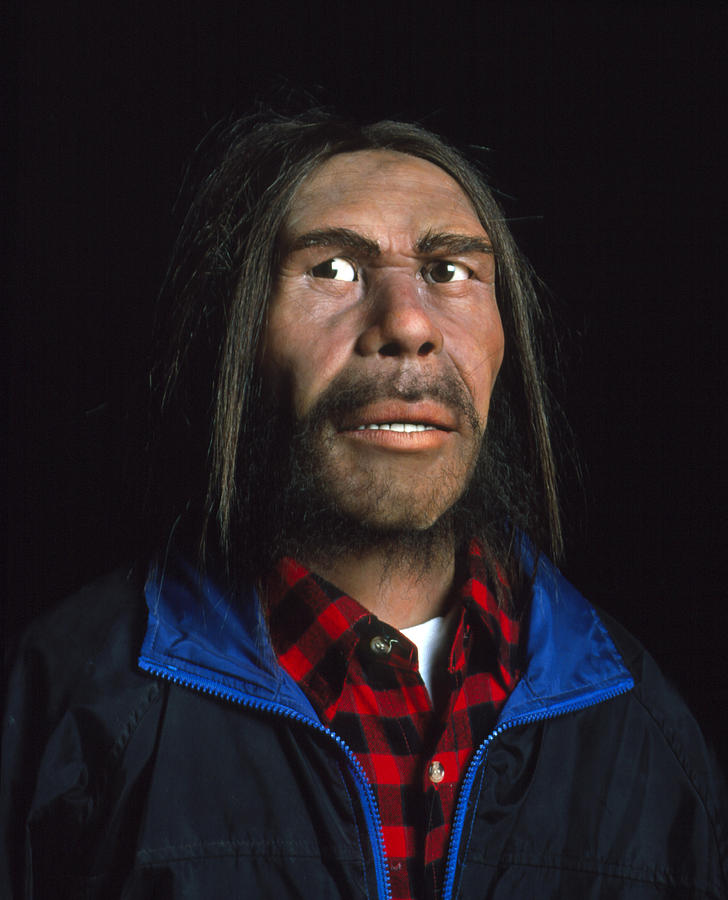 Neanderthal Man Face
