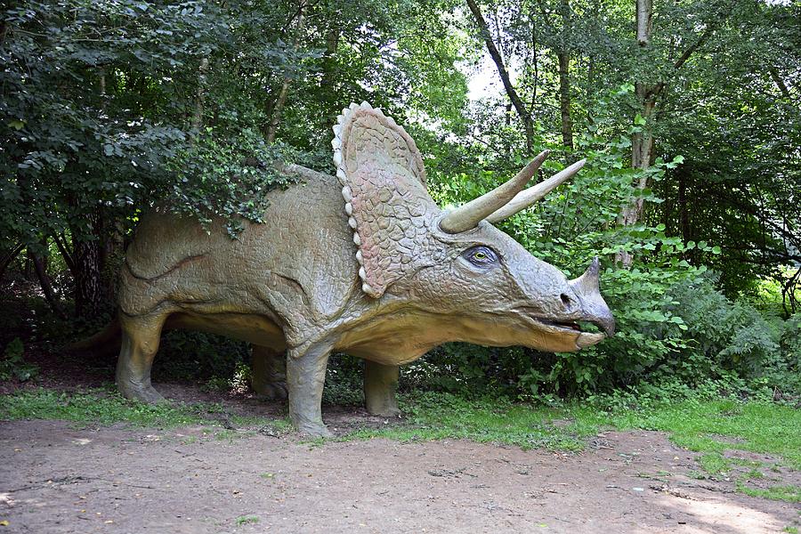 Dinosaur Photograph - Model Triceratops Dinosaur by Victor De Schwanberg