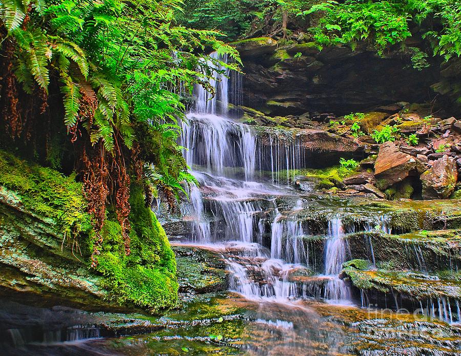 Mohican Falls - Ricketts Glen Photograph by Nick Zelinsky Jr - Fine Art ...