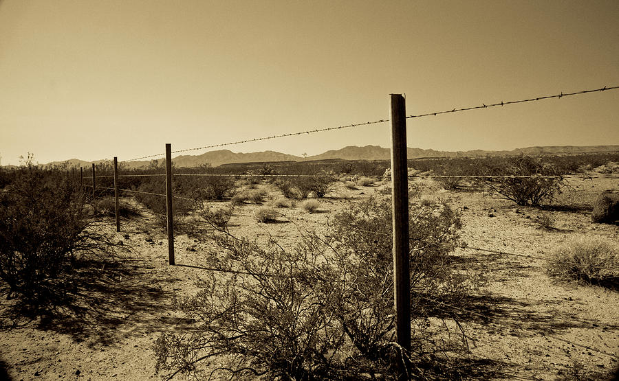 Landscape Photograph - The Mojave Desert   by Gilbert Artiaga