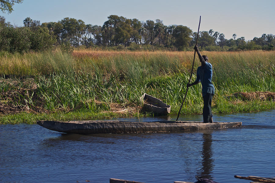 Mokoro Botswana Photograph by David Kleinsasser