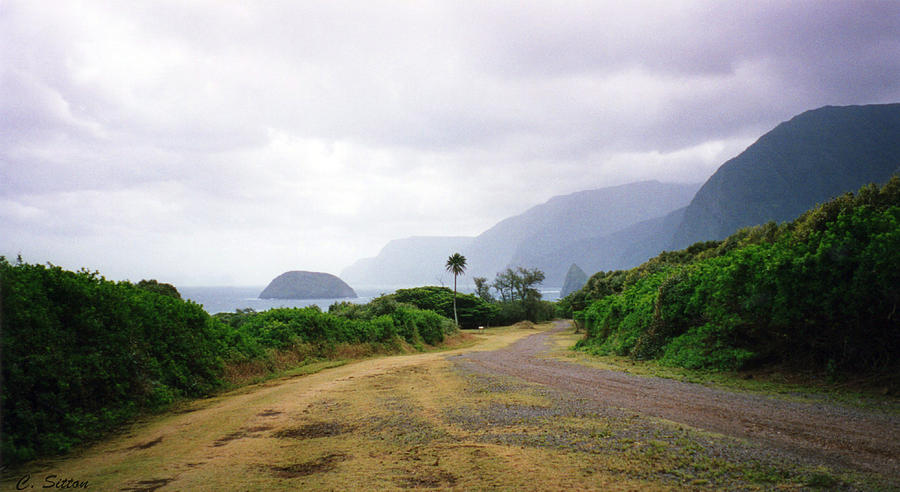 Molokai Coast Photograph by C Sitton