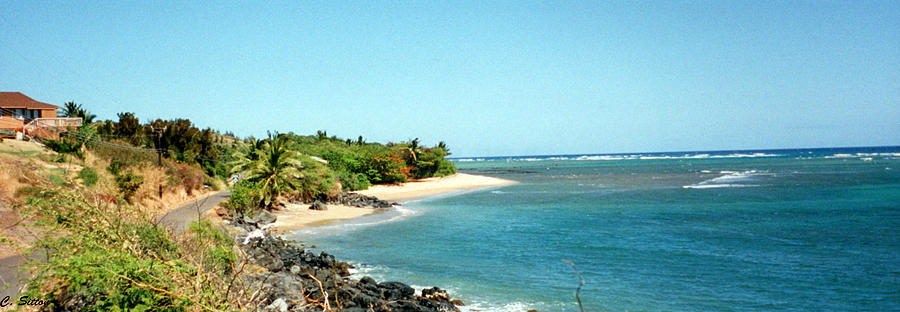 Molokai Shore Photograph by C Sitton