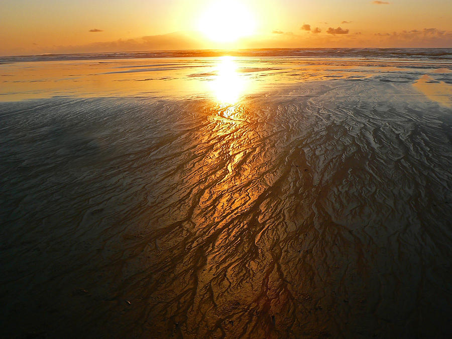 Molten Gold Sunset Photograph by Pamela Patch