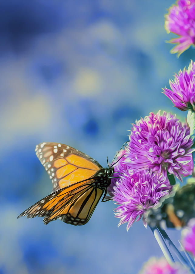 Monarch Blues on Chives Photograph by Bill and Linda Tiepelman