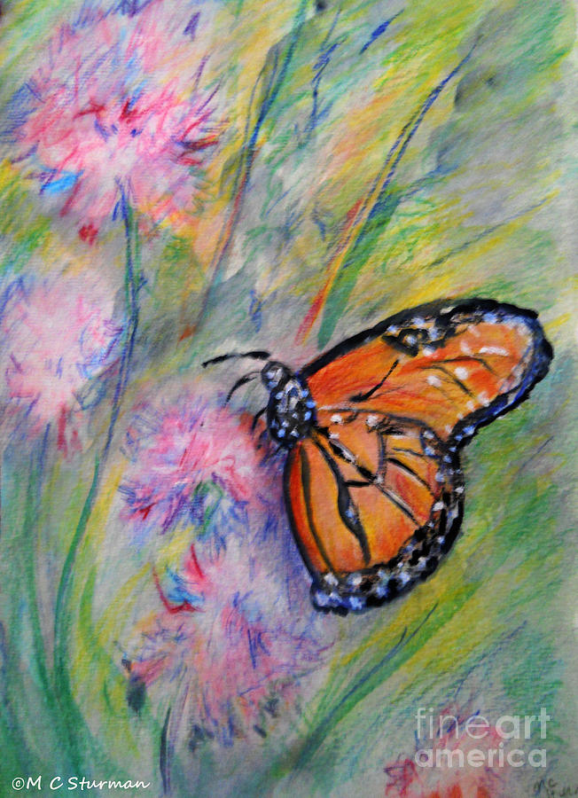 Monarch Butterfly Mixed Media by M c Sturman