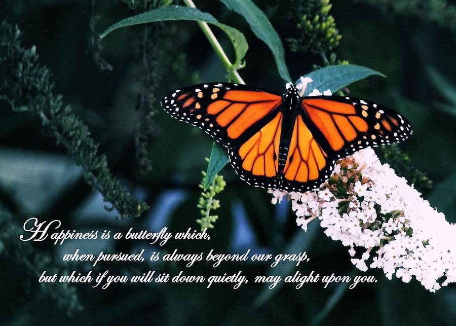 Monarch Quote by JAMART Photography