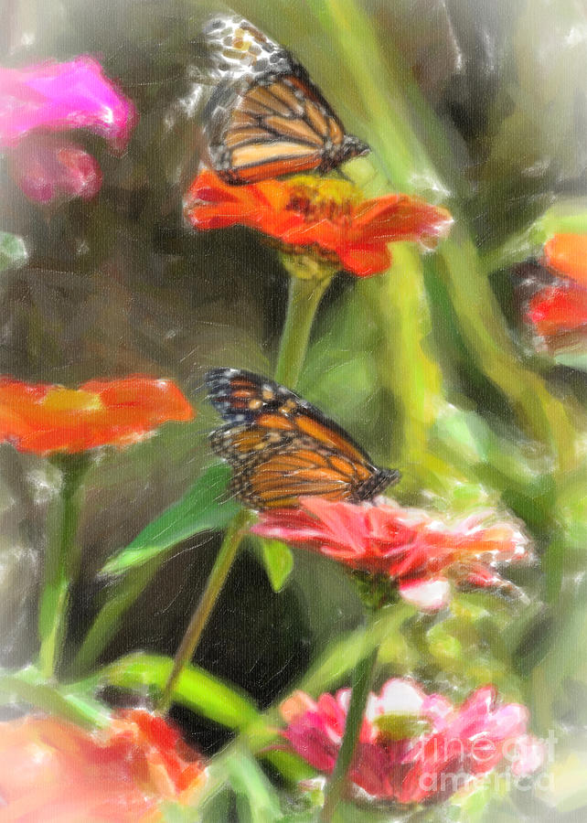 Monarchs Photograph by Edward Sobuta