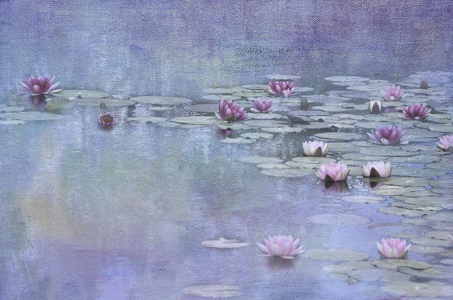 Monet blue Photograph by Carolyn DAlessandro