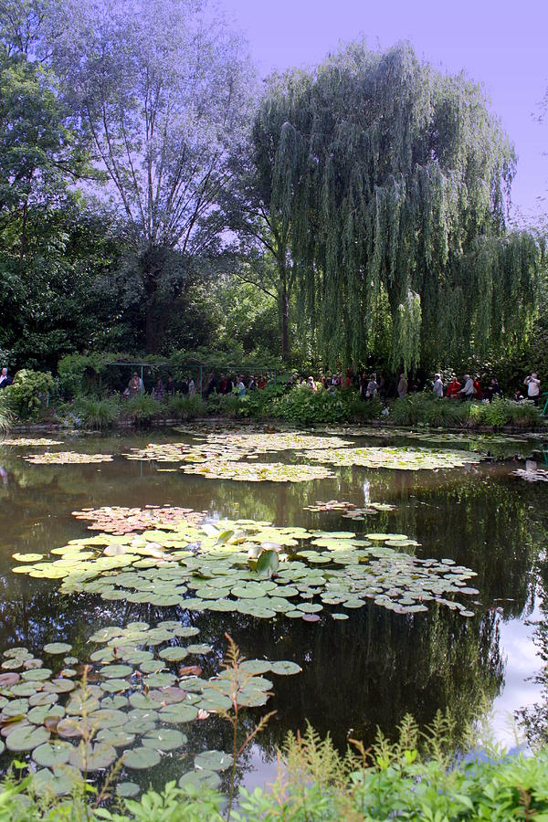 Monets Water garden Photograph by Donna Walsh