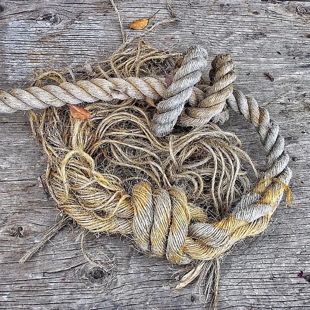 Money For Old Rope Photograph by Carl Milner
