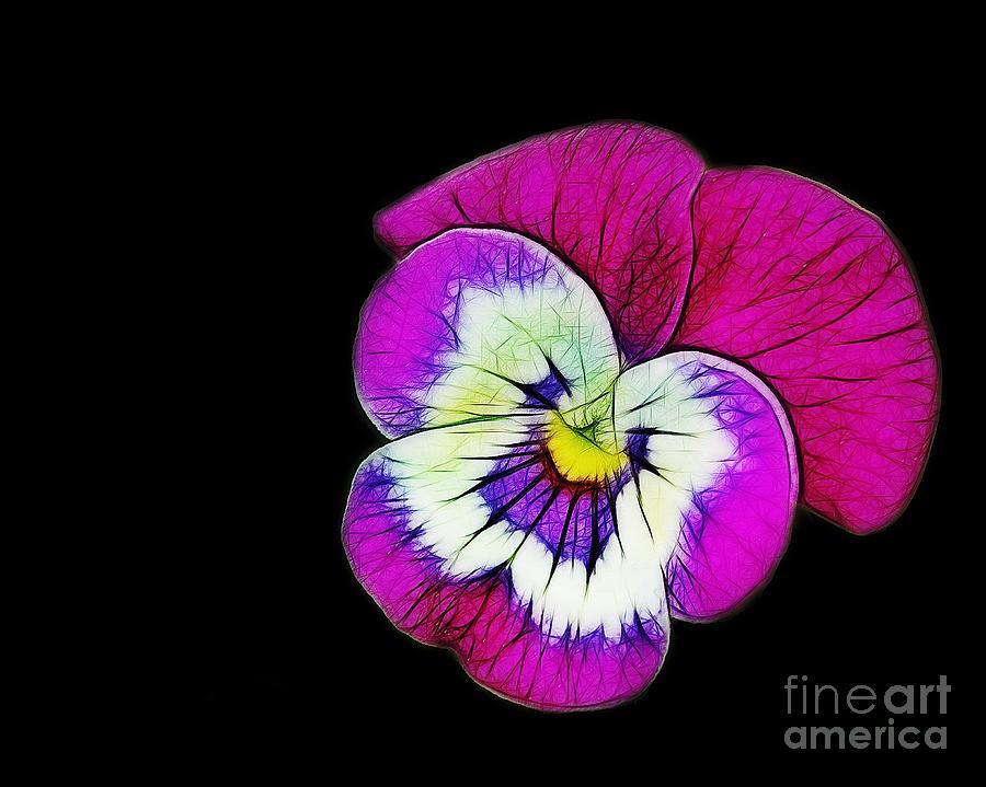 Flowers Still Life Photograph - Monkey Face by Judi Bagwell