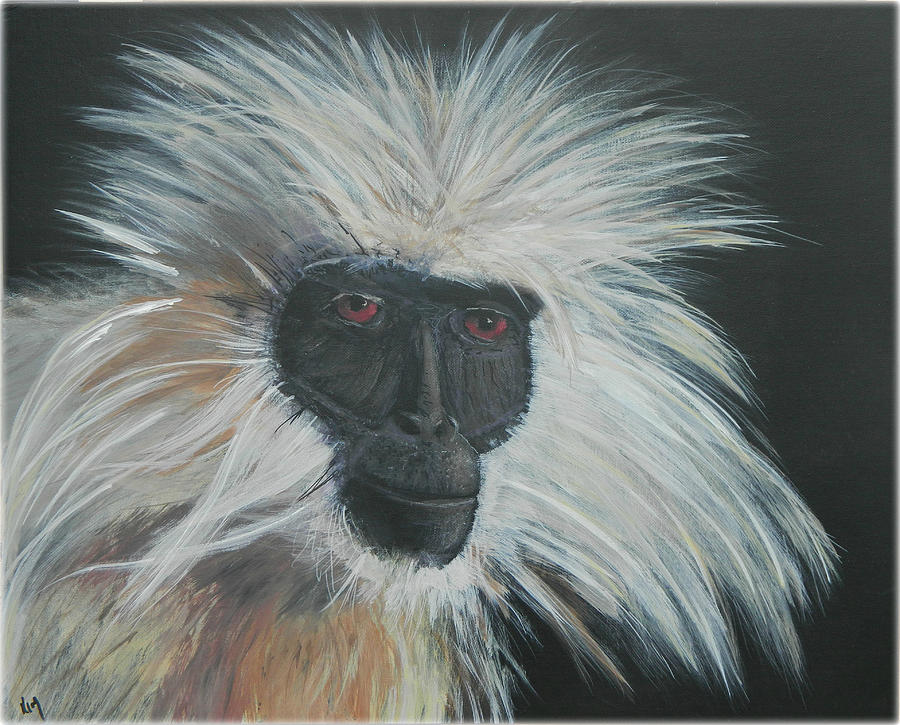 Monkey Wild by Kenneth McGarity Monkey Wild by Kenneth McGarity