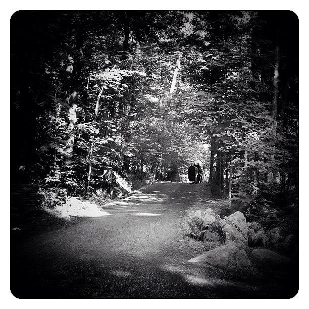 Blackandwhite Photograph - Monks In The Woods by Natasha Marco
