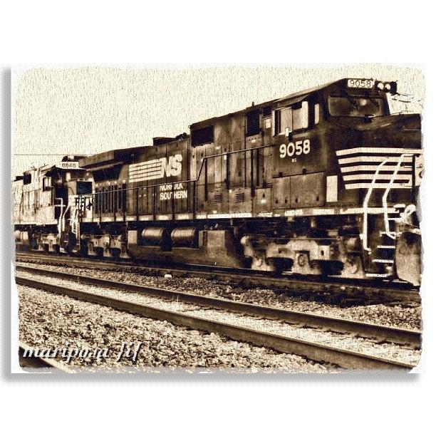 Train Photograph - Monochrome Rail by Mari Posa