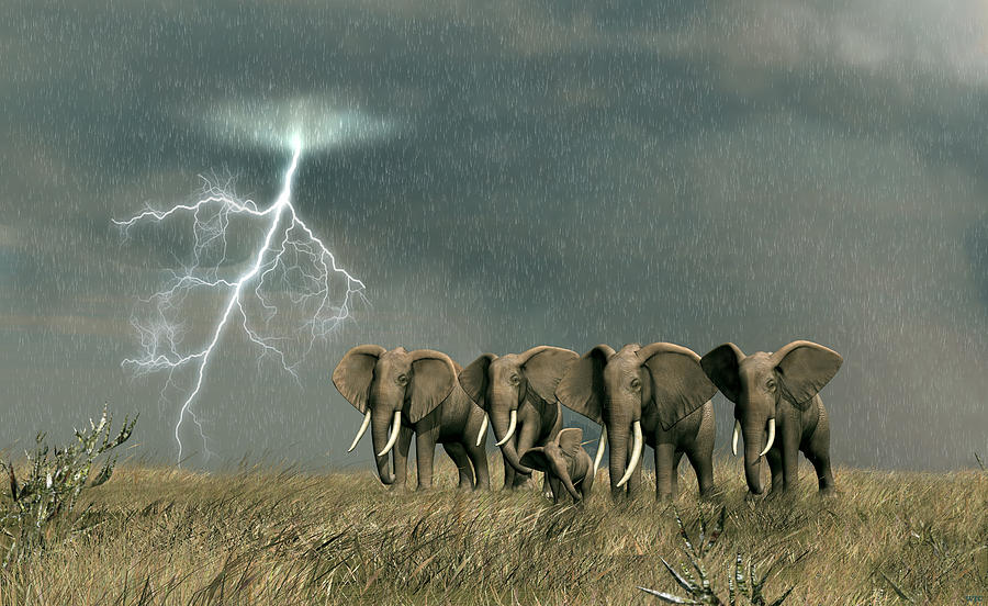Monsoon On The Serengeti Digital Art by Walter Colvin