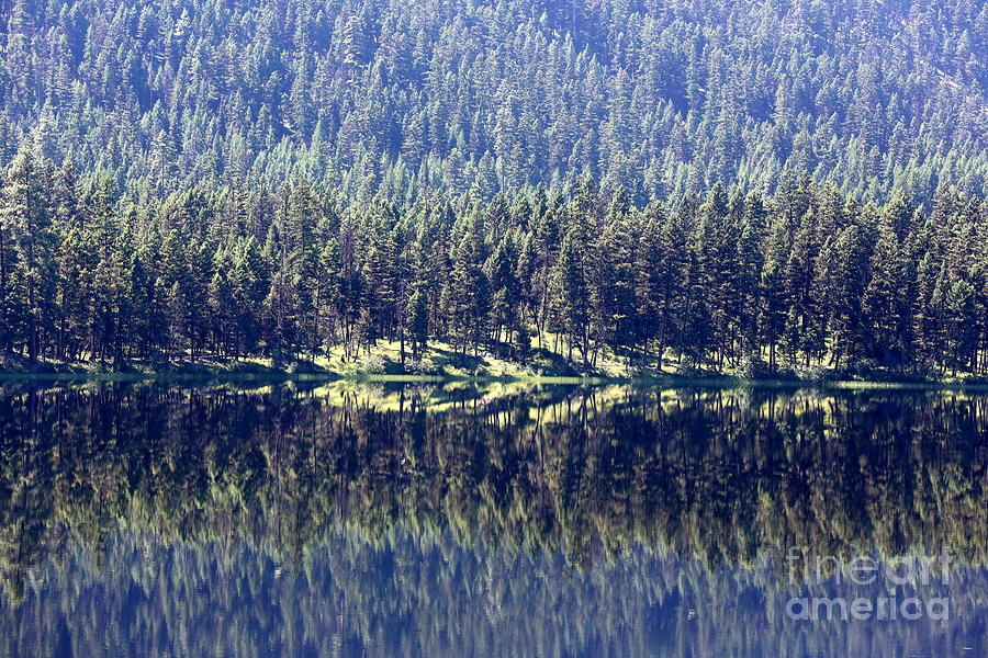 Montana Lake Reflection Photograph by Carol Groenen