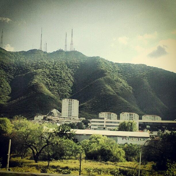 Tree Photograph - #monterrey #mexico #mountain #tree by Jerry Tamez