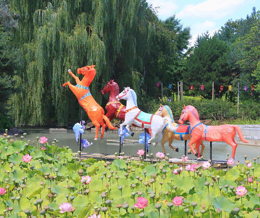 Montreal Botanical Gardens - Chinese Horses Photograph by Christiane Kingsley