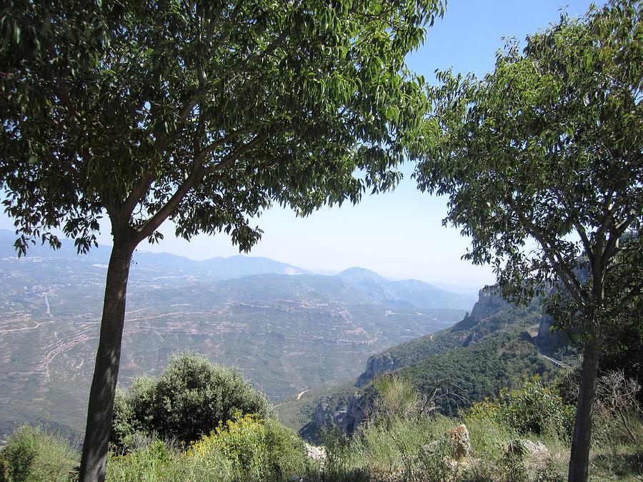 Montserrat Mountain Double Tree View As Far As Eye Can See At High Altitude in Spain Near Barcelona Photograph by John Shiron