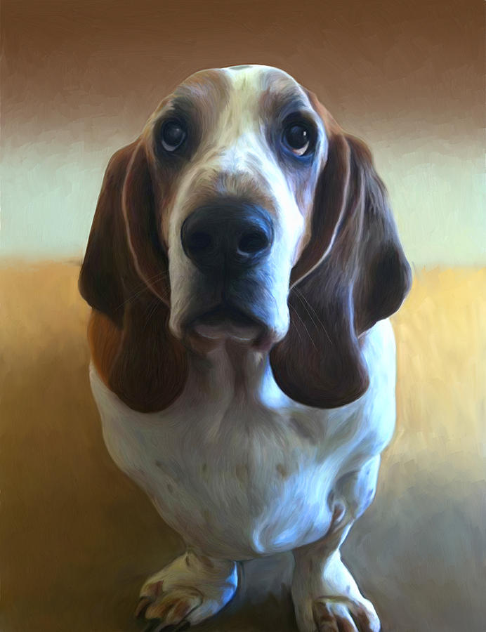 Animal Painting - Monty by Snake Jagger