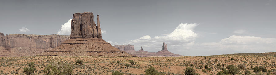 Nature Pyrography - Monument Valley Desert Large Panorama by Mike Irwin