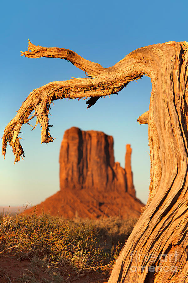 Monument Valley Photograph by Jane Rix