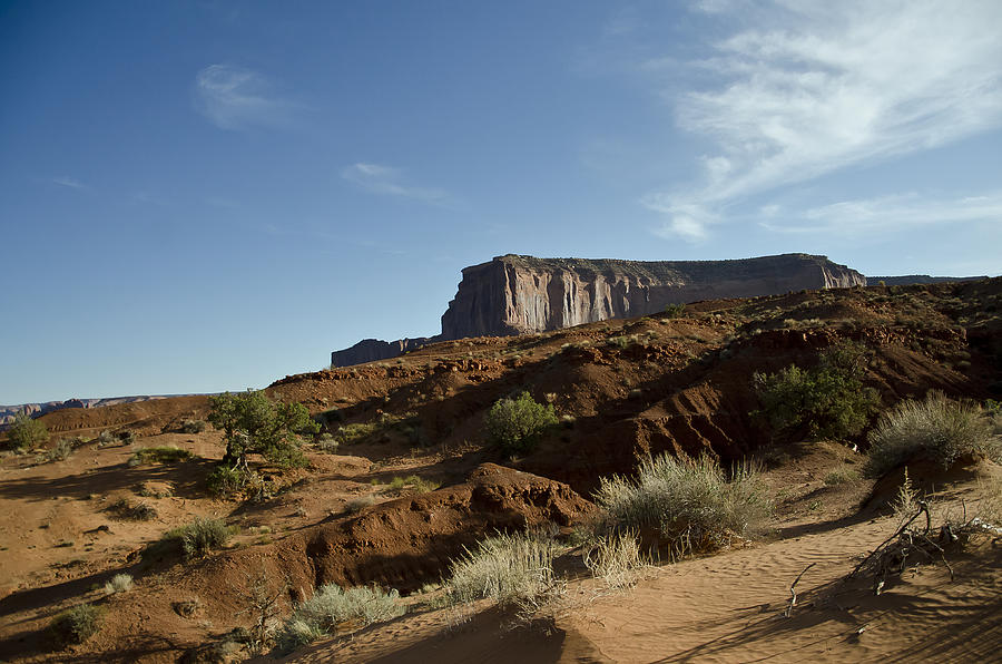 Monument Valley Morning Photograph by Wilma  Birdwell