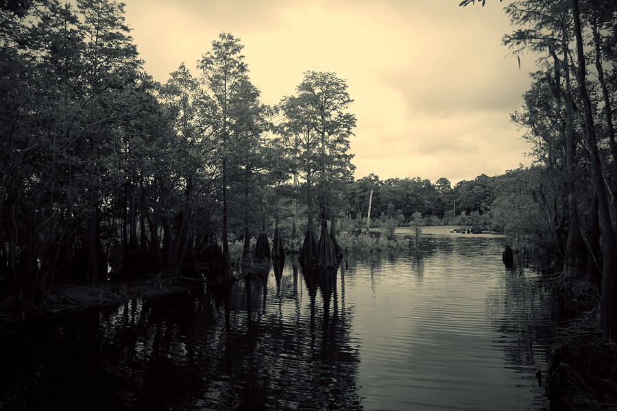 Moody Lake Photograph by Toni Hopper
